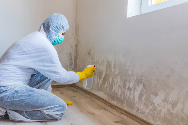 Licensed Commercial Mold Remediation service in Woodmere, NY - WQB Mold Removal