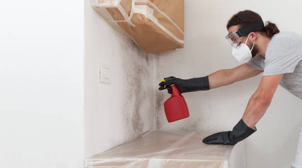 Professional Commercial Mold Remediation technician working in Woodmere, NY